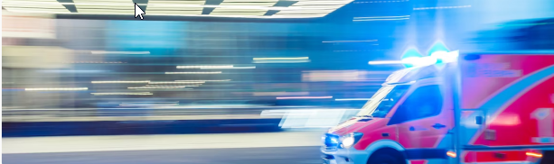 Bone Mineral Densitometry (BMD)